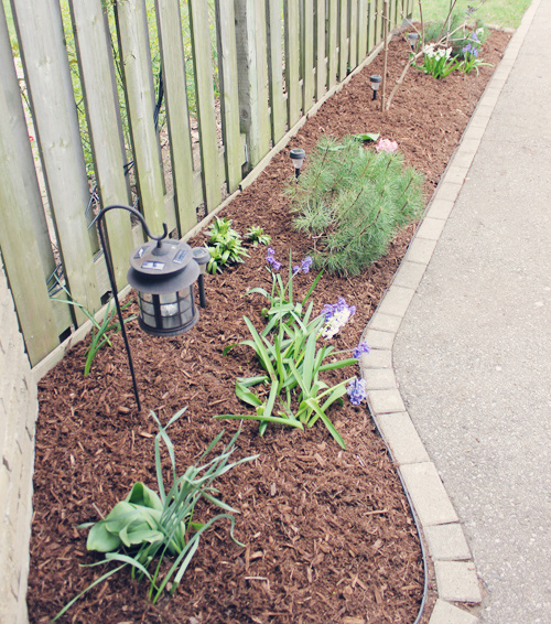 All You Need is Mulch: Before & Afters