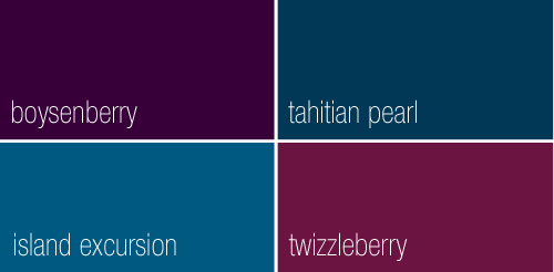 2013 Colour Forecast with Para Paints