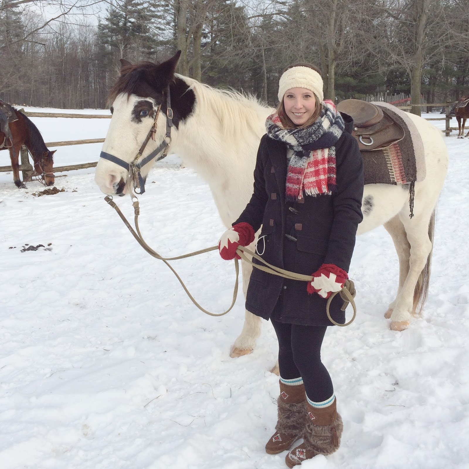 Riding-Horses-Toronto-Winter